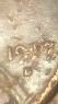 New-Here-And-Just-Curious-About-This-Penny